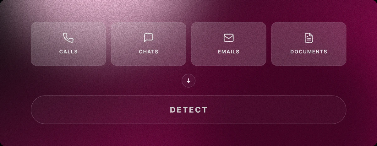 Calls, chats, emails and documents, all assessed by Detect